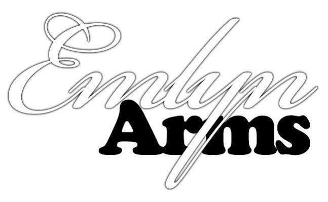 Emlyn Arms Bed & Breakfast Llanarthney Ngoại thất bức ảnh